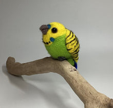 Load image into Gallery viewer, Felt a Dryer Ball Bird – Needle Felting