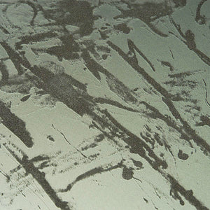 Solar Plate Printmaking - Advanced