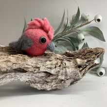 Load image into Gallery viewer, Felt a Dryer Ball Bird – Needle Felting